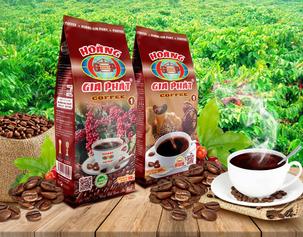 Coffee Hoàng Gia Phát ( Số 1 )
